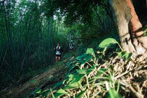 BIB: 
                            <button type="button" onclick="openModal(28124231)" class="btn btn-primary btn-sm float-right btn-popup" data-toggle="modal" data-target=".modal-high-quality">
                        <i class="fas fa-shopping-cart"></i> Add to Cart
                    </button>
                                            <button type="button" onclick="isThisMe(28124231, true)" class="btn btn-success btn-sm float-right btn-popup btn-isme hidden" data-toggle="tooltip" data-placement="bottom" title="นี่คือรูปของคุณใช่ไหม คลิกที่นี่เพื่อเอาเข้าอัลบั้ม">
                        <i class="fas fa-plus"></i> Add to album
                    </button>
                    <button type="button" onclick="isThisMe(28124231, false)" class="btn btn-warning btn-sm float-right btn-popup btn-isnotme hidden">
                        <i class="fas fa-ban"></i> Remove from album
                    </button>